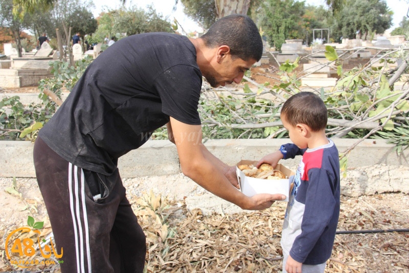 tasoooi3i1412 (24).JPG